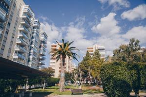 Fotografie z fotogalerie ubytování Madeira v destinaci Benicàssim