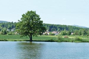 Afbeelding uit fotogalerij van Landgasthof Zur Tanne in Waltershausen