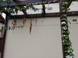 een wijnstok van bloemen hangend aan een gebouw bij Studios Formanabá in Florianópolis