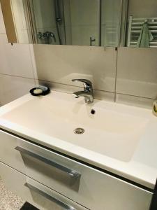 ein Waschbecken mit einem Wasserhahn und einem Spiegel in der Unterkunft Idyllische und ruhig gelegene 1ZKB Wohnung in Ludwigshafen am Rhein in Ludwigshafen am Rhein