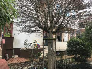 a tree with a sign on it in front of a house at Idyllische und ruhig gelegene 1ZKB Wohnung in Ludwigshafen am Rhein in Ludwigshafen am Rhein