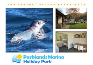 a collage of photos with a seal in the water at Parklands Marina Holiday Park in Picton