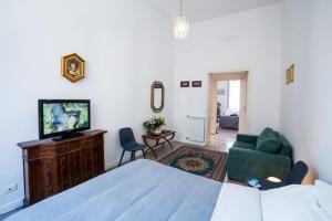 Televízia a/alebo spoločenská miestnosť v ubytovaní Domus Aurea 295