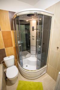 La salle de bains est pourvue d'une douche, de toilettes et d'un lavabo. dans l'établissement Studio Apartment Petrzalka Air-Conditioned 24h check-in, à Bratislava