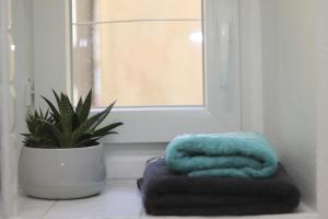 a window with a plant and a pile of towels at Cosy appartement Bayonne historique in Bayonne