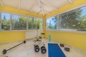 Fitness centrum a/nebo fitness zařízení v ubytování Villa Fos