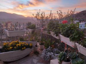 Gallery image of Guesthouse Villa Joanna&Mattheo in Sarand&euml;