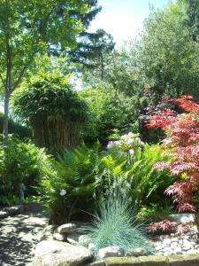 a garden with many different types of plants at B&B Het Tuinhuisje in Enschede