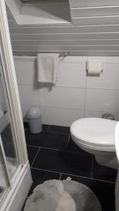een kleine badkamer met een toilet en een tapijt bij Ferienwohnung Gesine in Leer