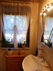 a bathroom with a sink and a window with potted plants at Auf der Heide in Borkheide +32 photos