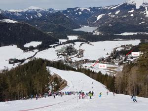 Gallery image of Apartment Mariazell Bürgeralpe in Mariazell