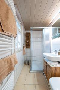 a bathroom with a sink and a shower at Ferienhaus Elbufer 83 in Bad Schandau
