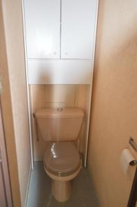 ein Bad mit einem WC und einem Schrank darüber in der Unterkunft BEL AURE 3 in Saint-Lary-Soulan