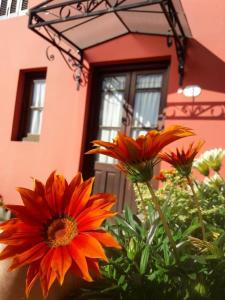 un grupo de flores frente a una casa en Carmine Hotel Apart en Capilla del Señor