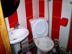 a bathroom with a toilet and a sink at 1 ком квартира Соборная-Макарова Wi-Fi, Макдональдс, самый центр Николаева 2 дивана 2 этаж in Mykolaiv