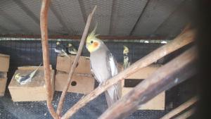 Anuradhapura şehrindeki CTC Receptions tesisine ait fotoğraf galerisinden bir görsel