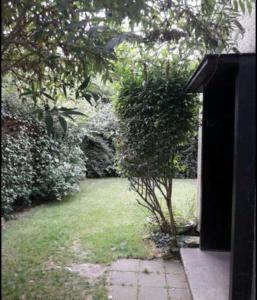 a garden with a small tree in the grass at Chez Mimi - chambre vue parc in Brussels