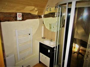 a small bathroom with a sink and a mirror at Appartement au bord de l'Eure in Léry +7 photos