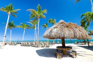 uma praia com cadeiras e um guarda-sol de palha e palmeiras em Fiesta Key RV Resort Standard Room 8 em Layton