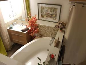 Ένα μπάνιο στο Chambre d'Hôte - Mas Le Barret +13 φωτογραφίες