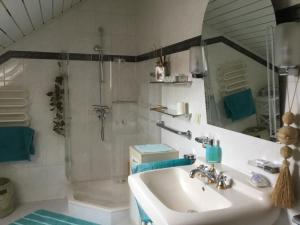 bagno con lavandino, doccia e specchio di Ruhe geniessen bei Kulbes a Doberschütz