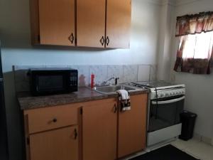 a small kitchen with a sink and a microwave at SANDY BOTTOM COTTAGES in Mount Thompson