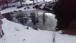 Naturlandskabet i nærheden af feriehuset