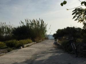 Táj az apartman közelében