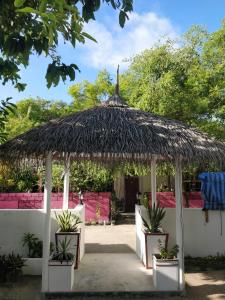 a pavilion with a thatched roof and three potted plants at Alkina lodge in Fulidhoo
