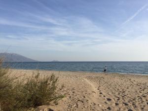 a person standing on a sandy beach near the ocean at Livanina apartments in Kámpos