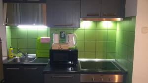 Kuchyň nebo kuchyňský kout v ubytování APARTMENT "Patricia"