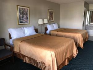 une chambre d'hôtel avec deux lits et une chaise dans l'établissement Treetop Inn, à Florence