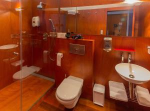 a bathroom with a toilet and a sink and a shower at Borda Aranzazu in Oñate