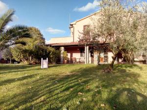 une maison avec un arbre au milieu d'une cour dans l'établissement Agriturismo Da Paola, à Marsiliana d'Albegna