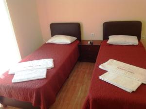 two beds sitting next to each other in a room at Olympic Bibis Hotel in Metamorfosi