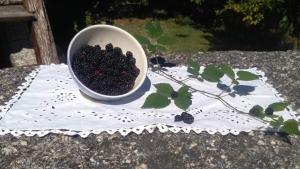 a bowl of blackberries sitting on a table at Casa do Pereiro in Vieira do Minho