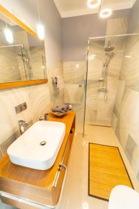 Kúpeľňa v ubytovaní Apartament przy Wyspie Młyńskiej + 16 fotografií