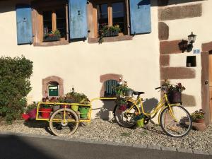 two bikes parked in front of a building with flowers at Le Nid de Cigognes in Hengwiller