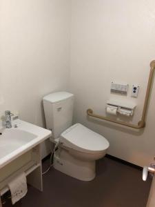 a bathroom with a toilet and a sink at Saihokuso inn in Ueda