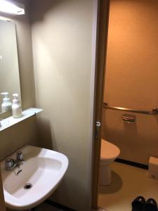 上田市にあるSaihokuso innのバスルーム(洗面台、トイレ、鏡付)