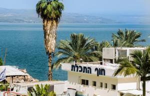 a building with a palm tree next to the ocean at מגדלי המלכים נופש משפחתי in Tiberias +14 photos