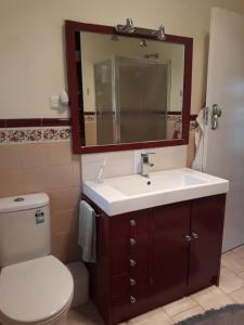 a bathroom with a toilet and a sink and a mirror at VILLABAYVIEW SPACIOUS Stay in Rosebud