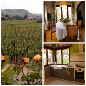 Fotografie z fotogalerie ubytování Gite Le Mandlé v destinaci Riquewihr