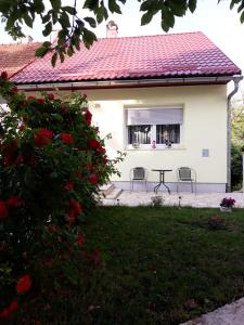 Vonkajšia záhrada v ubytovaní Gospic Riverside Apartment
