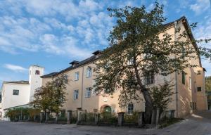 ein großes Gebäude mit einem Baum davor in der Unterkunft Apartments Hoferhaus in Bad Aussee