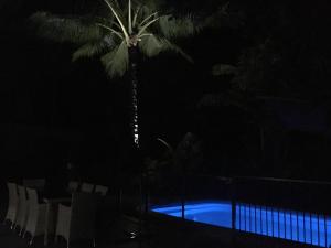 Sundlaugin á Heated Pool & Tropical Private Open Space eða í nágrenninu