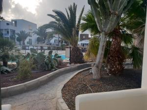 ośrodek z palmami i basenem w obiekcie Bungalow La Roca w Costa Teguise
