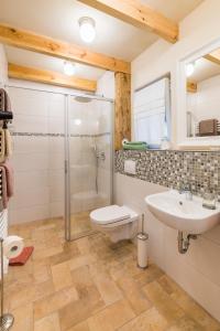 e bagno con doccia, servizi igienici e lavandino. di Adelinenhof - Ferienapartments, Fasten, Wellness & Gesundheit a Burg