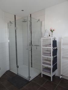 a shower with a glass door in a bathroom at Ferienwohnung Grünewaldstraße 22 in Bünde