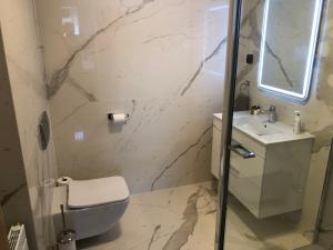 Koupelna v ubytování Tauernhaus Appartment + 28 fotografií